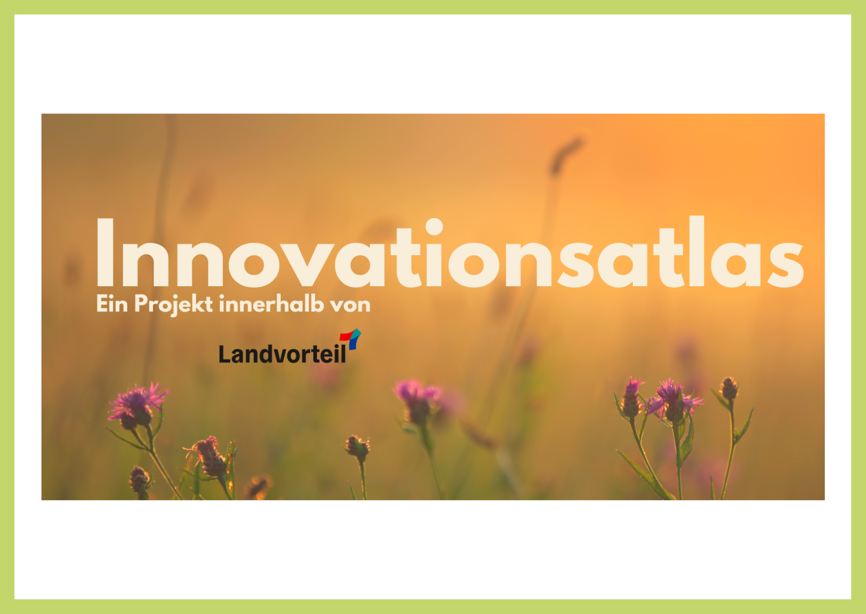 Innovationsatlas. Ein Projekt von Landvorteil. Zu sehen ist der Schriftzug und das Logo von Landvorteil. Im Hintergrund sind blühende Pflanzen in Lila und ein orangefarbenes Licht der Sonne.