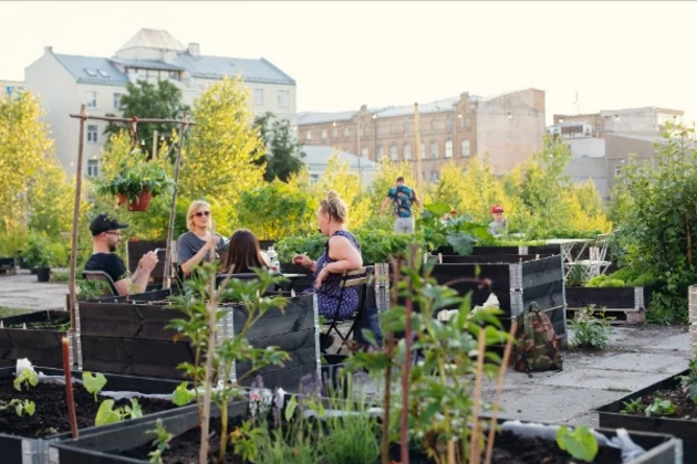 Leute sitzen auf einer Terasse eines Gartens des Stadtviertels Sporta Pils in Riga. Es gibt Hochbeete und Sträucher.