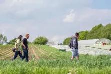 Mehrere Personen gehen durch eine Wiese an einem Feld vorbei.