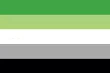 Die aromantische Flagge verläuft von oben grün über weiß und grau bis unten schwarz.