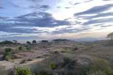 In einer kolumbianischen Steppenlandschaft stehen kleine Büsche. Am Horizont ist ein dämmriger Himmel mit Wolken in blau, lila und orange.