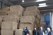Eine Gruppe an Menschen steht vor einem großen Berg an Storhballen.