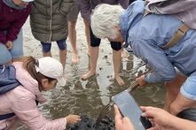 Adiós „Images of – Lateinamerika“ – Ein Projekt geht zu Ende, Verbindungen bleiben