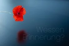 Ein blauer Hintergrund mit einer leuchtend roten Mohnblume im Vordergrund. Leicht verblasst die Frage: Wessen Erinnerung?