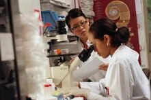 Zwei Frauen arbeiten gemeinsam in einem Labor. Eine von ihnen schaut in ein Mikroskop.