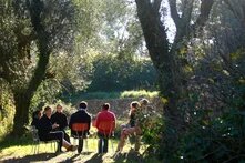 Eine Gruppe von Personen sitzt in einem Stuhlkreis im Garten unter Bäumen.