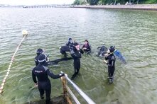 Schüler*innen schnorcheln in der Kieler Förde.