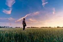 Ein Mann steht in einem Kornfeld und blickt in den Abendhimmel.