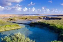 Priele in den Salzwiesen bei Westerhever