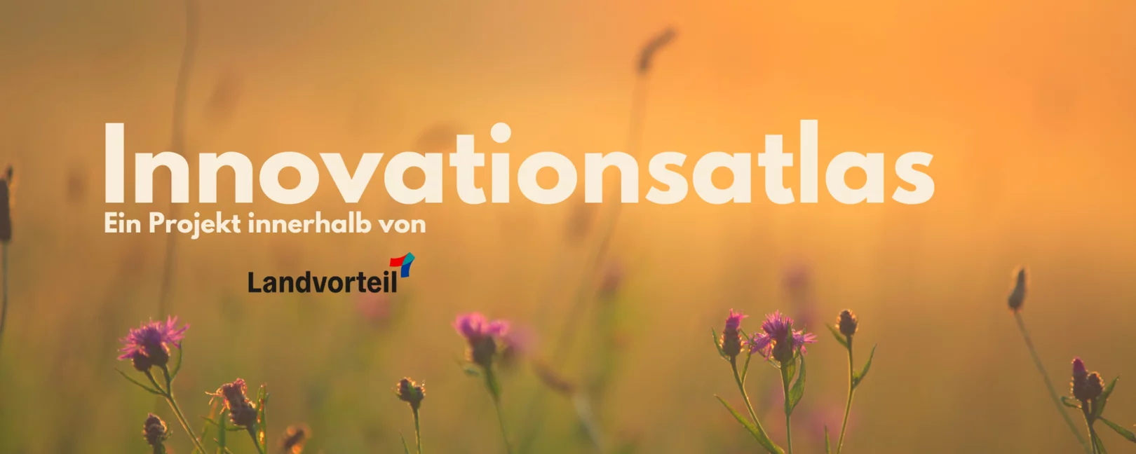 Innovationsatlas. Ein Projekt von Landvorteil. Zu sehen ist der Schriftzug und das Logo von Landvorteil. Im Hintergrund sind blühende Pflanzen in Lila und ein orangefarbenes Licht der Sonne.