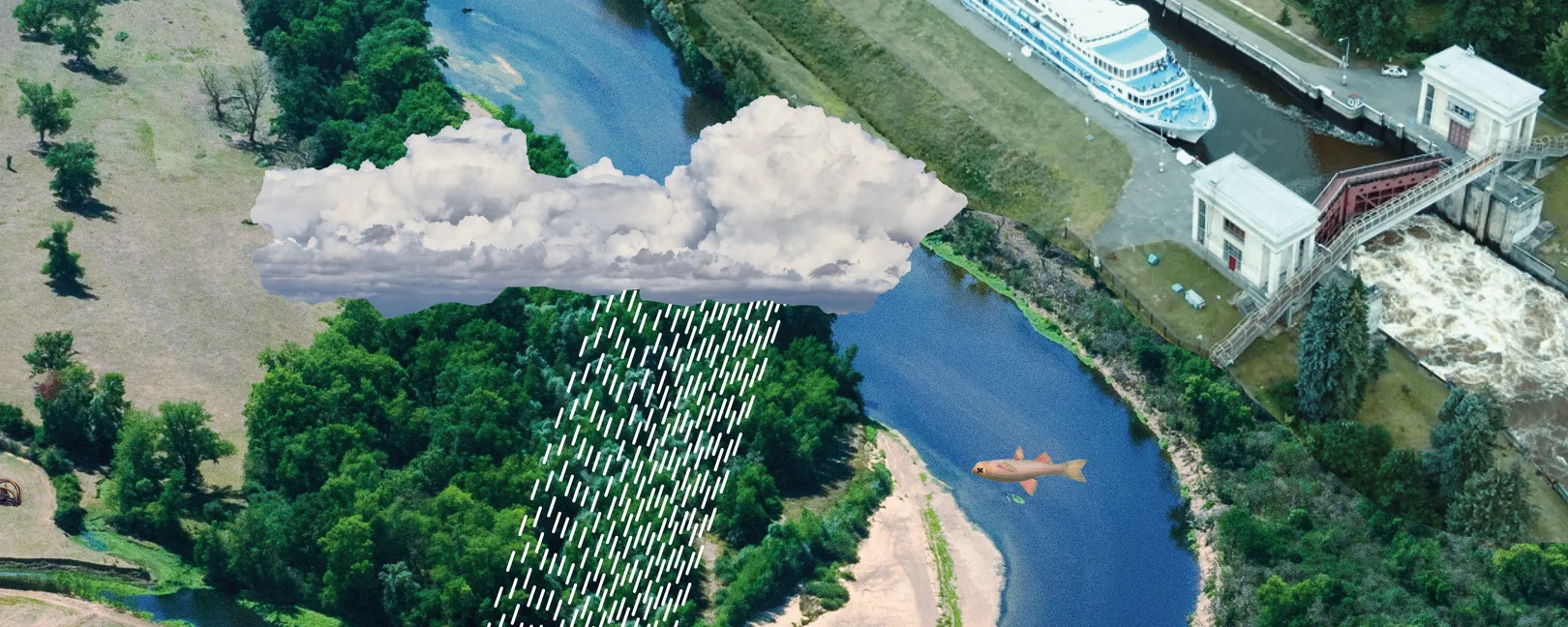 Ein Fluss und Wald von oben. Darüber fliegt ein Fisch und Wolken sind zu sehen.