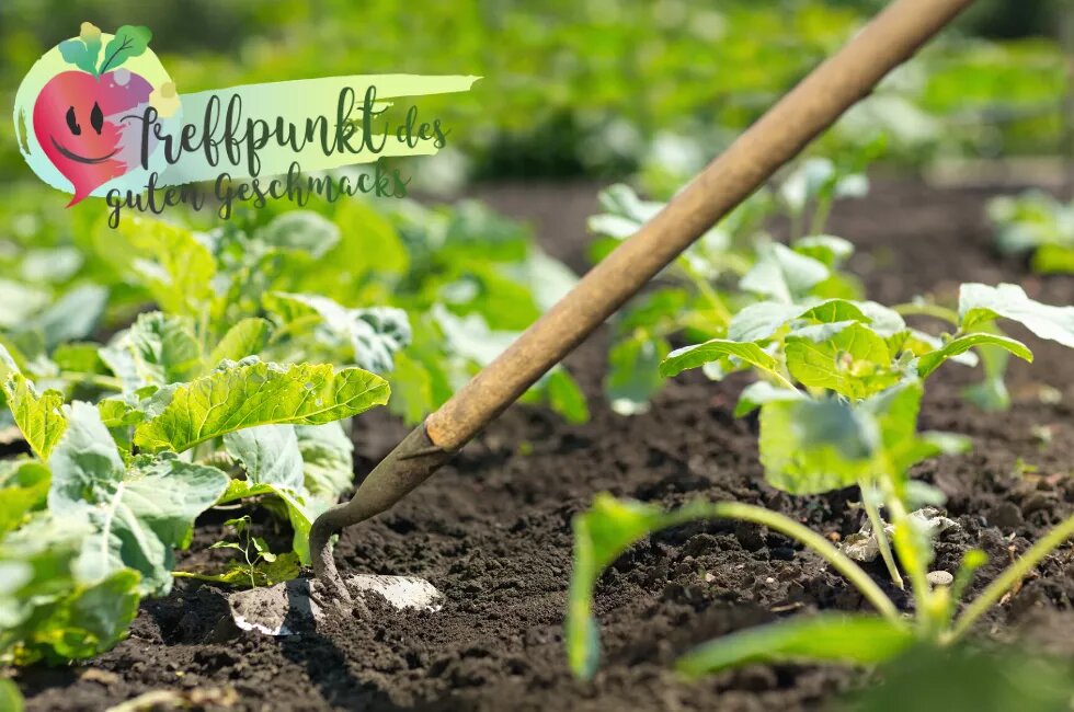 Neustart: Treffpunkt des guten Geschmacks Neustart: Treffpunkt des guten Geschmacks