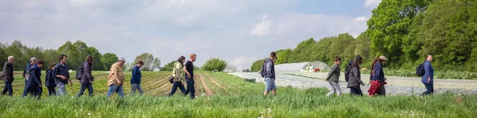 Mehrere Personen gehen durch eine Wiese an einem Feld vorbei.