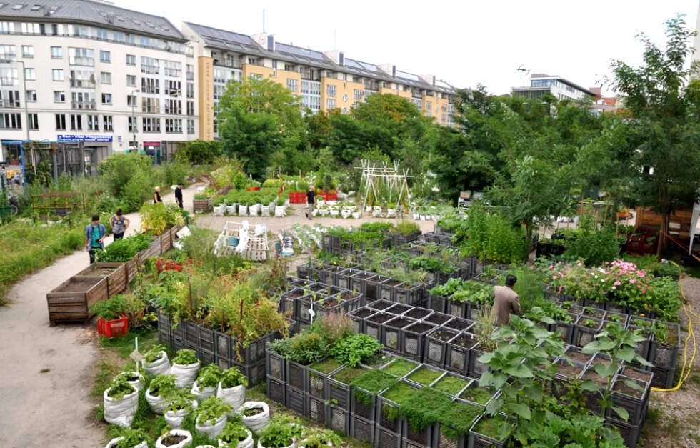 Die Prinzessinengärten in Berlin sind ein Commoning-Projekt. Die Beete können gemeinschaftlich von allen bestellt werden.