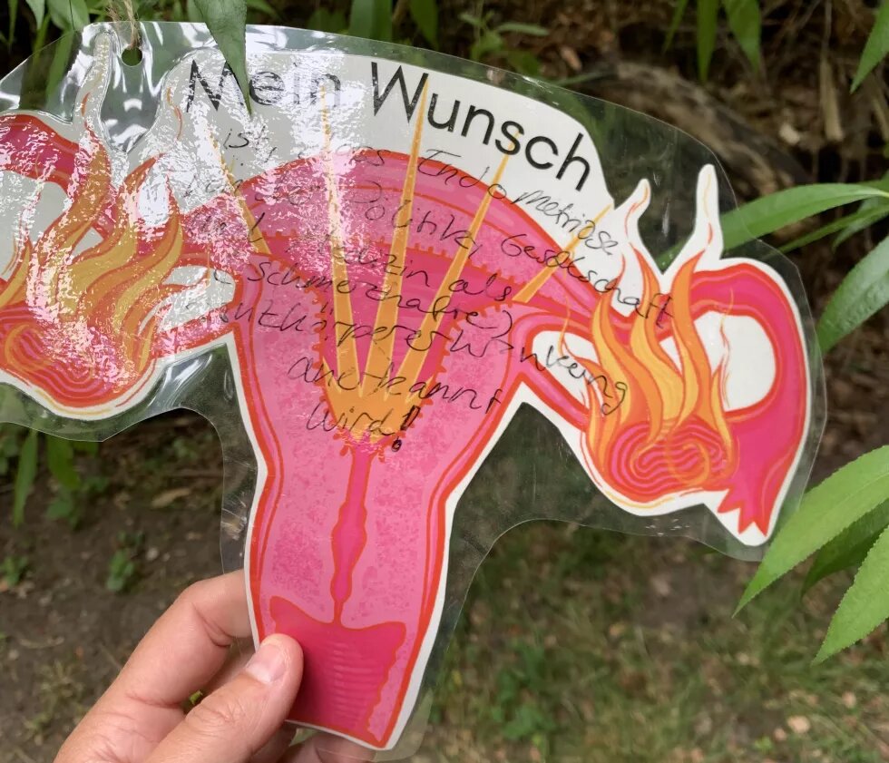 Auf einem Bild von einem Uterus, der in Flammen steht, ist geschrieben: "Mein Wunsch ist, dass Endometriose von der Politik, Gesellschaft und Medizin als (schmerzhafte) Ganzkörpererkrankung anerkannt wird."