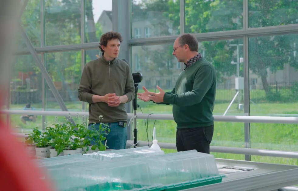 Aquaponik Gewächshaus Elias Tetzlaff interviewt Prof. Palm im Aquaponik-Gewächshaus.