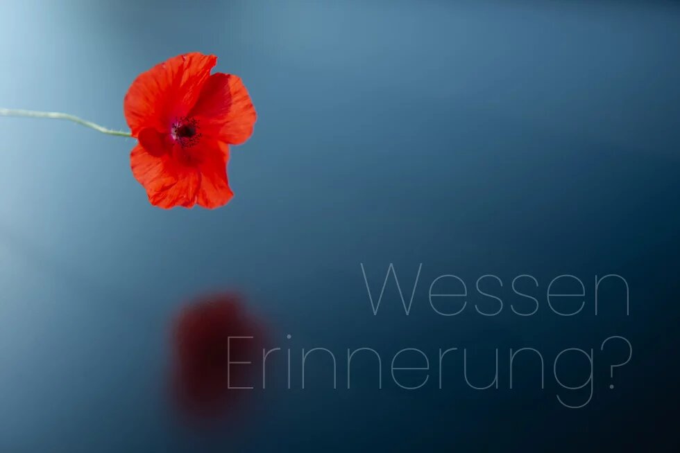 Ein blauer Hintergrund mit einer leuchtend roten Mohnblume im Vordergrund. Leicht verblasst die Frage: Wessen Erinnerung?