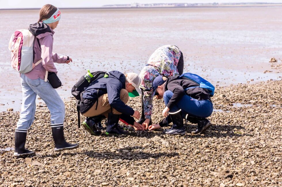 Vier Meermacher*innen sammeln Dinge am Strand.
