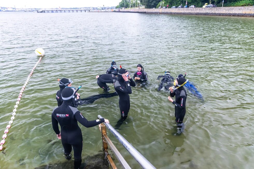 Schüler*innen schnorcheln in der Kieler Förde.