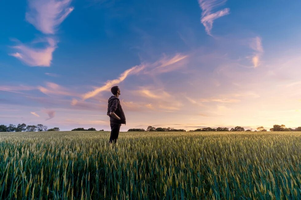 Ein Mann steht in einem Kornfeld und blickt in den Abendhimmel.