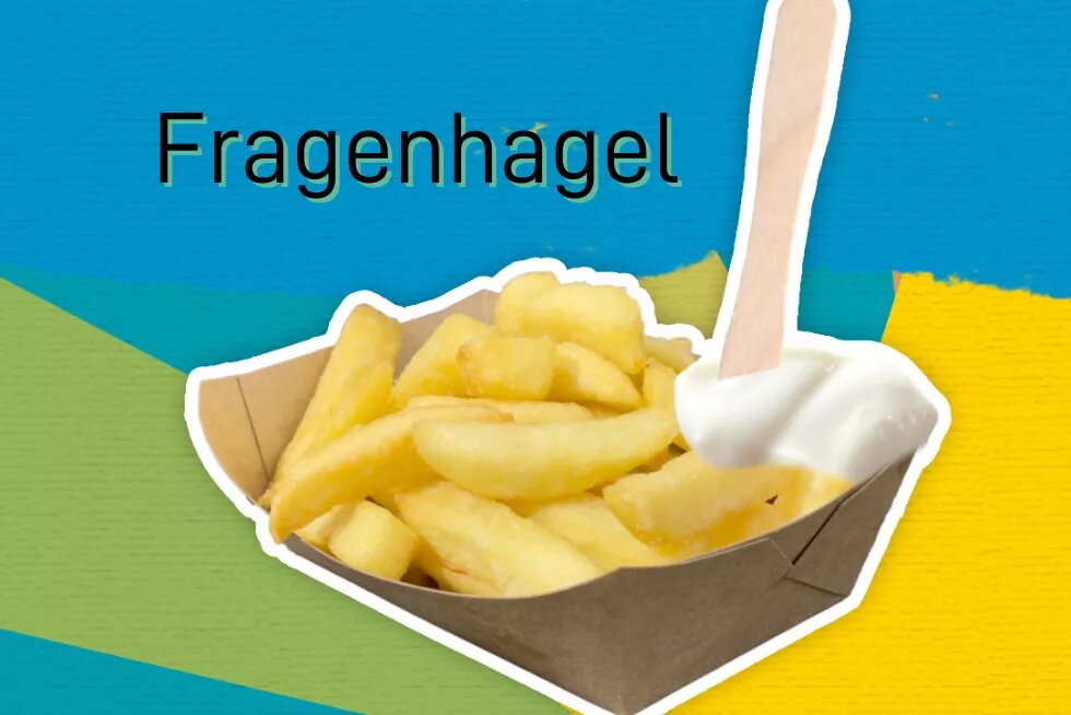 Bild von einer Schale Pommes mit dem Titel "Fragenhagel"